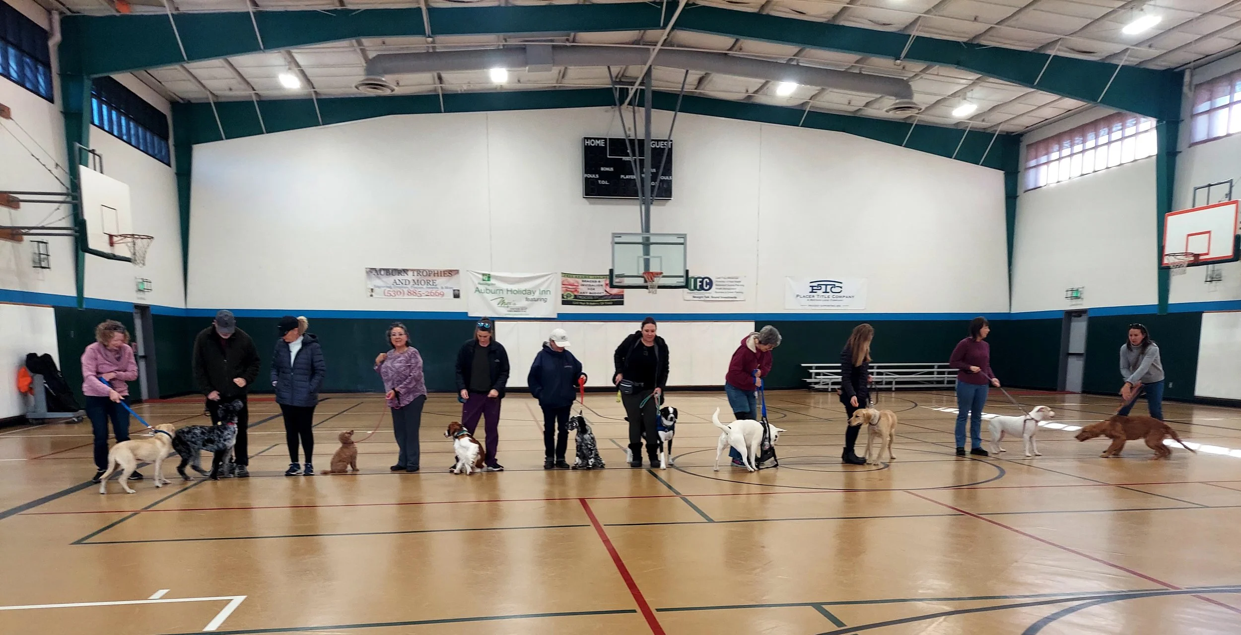 Basic Obedience Group Classes coming Soon!