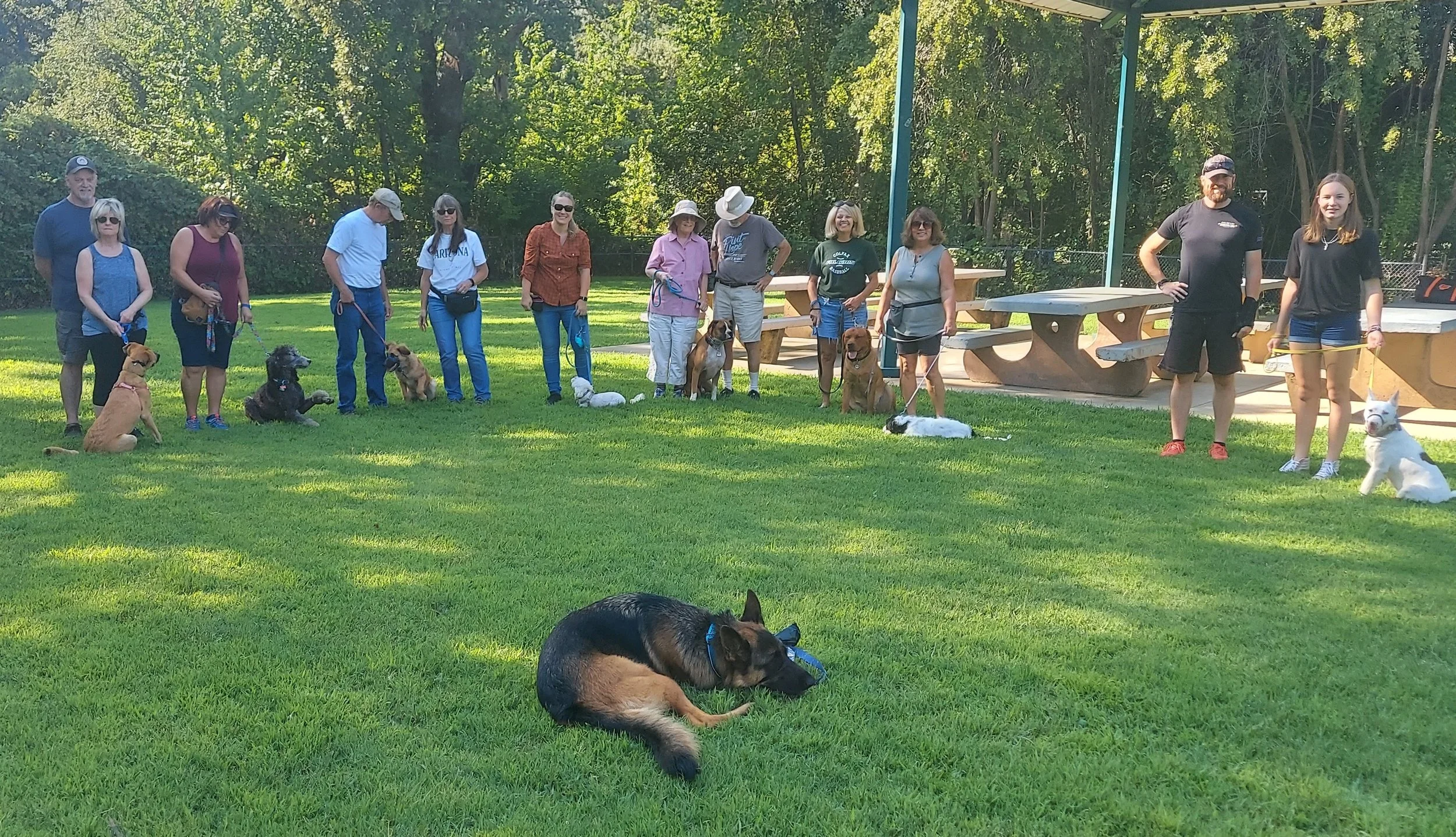 Basic Obedience Group Class