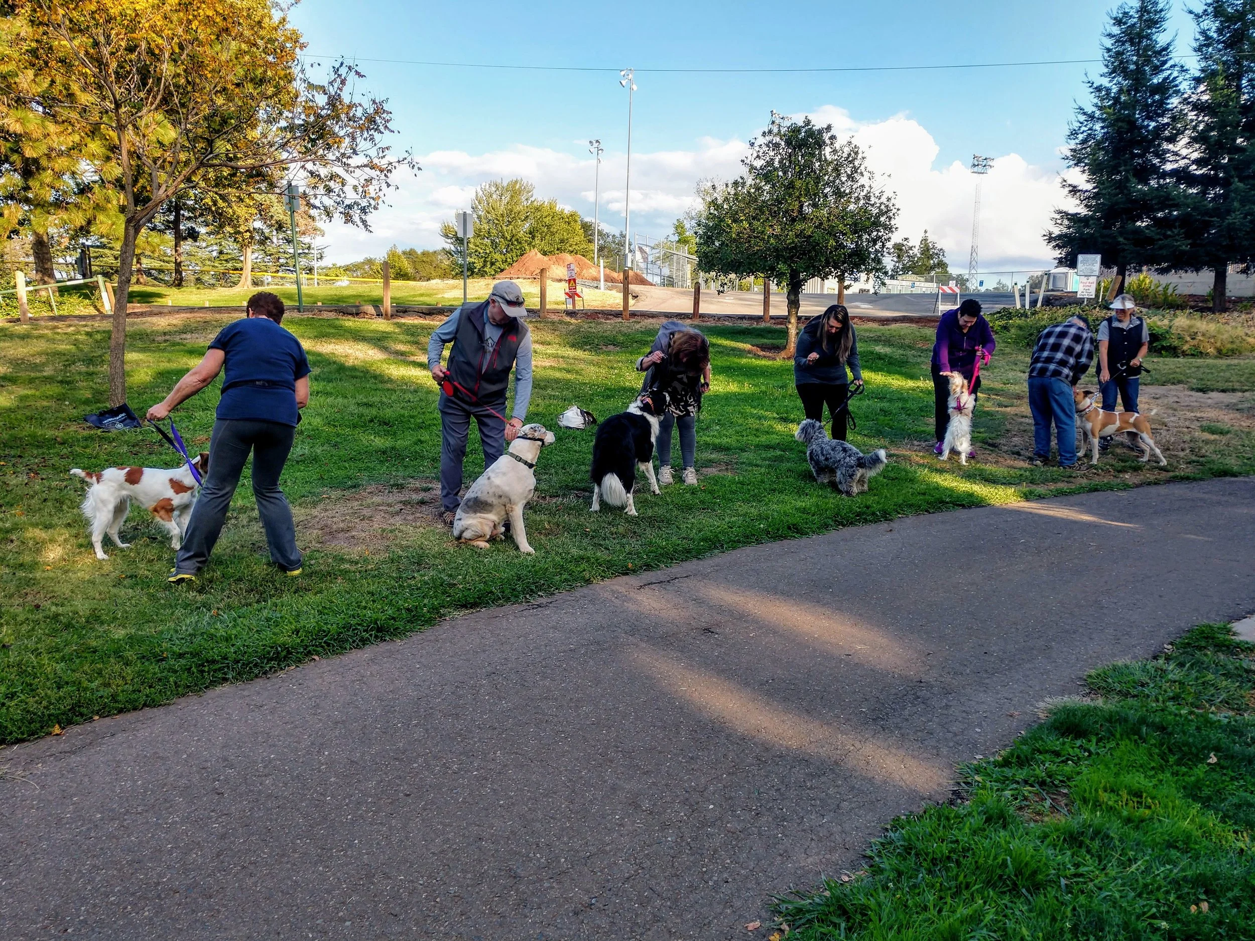 Basic Obedience Group Class