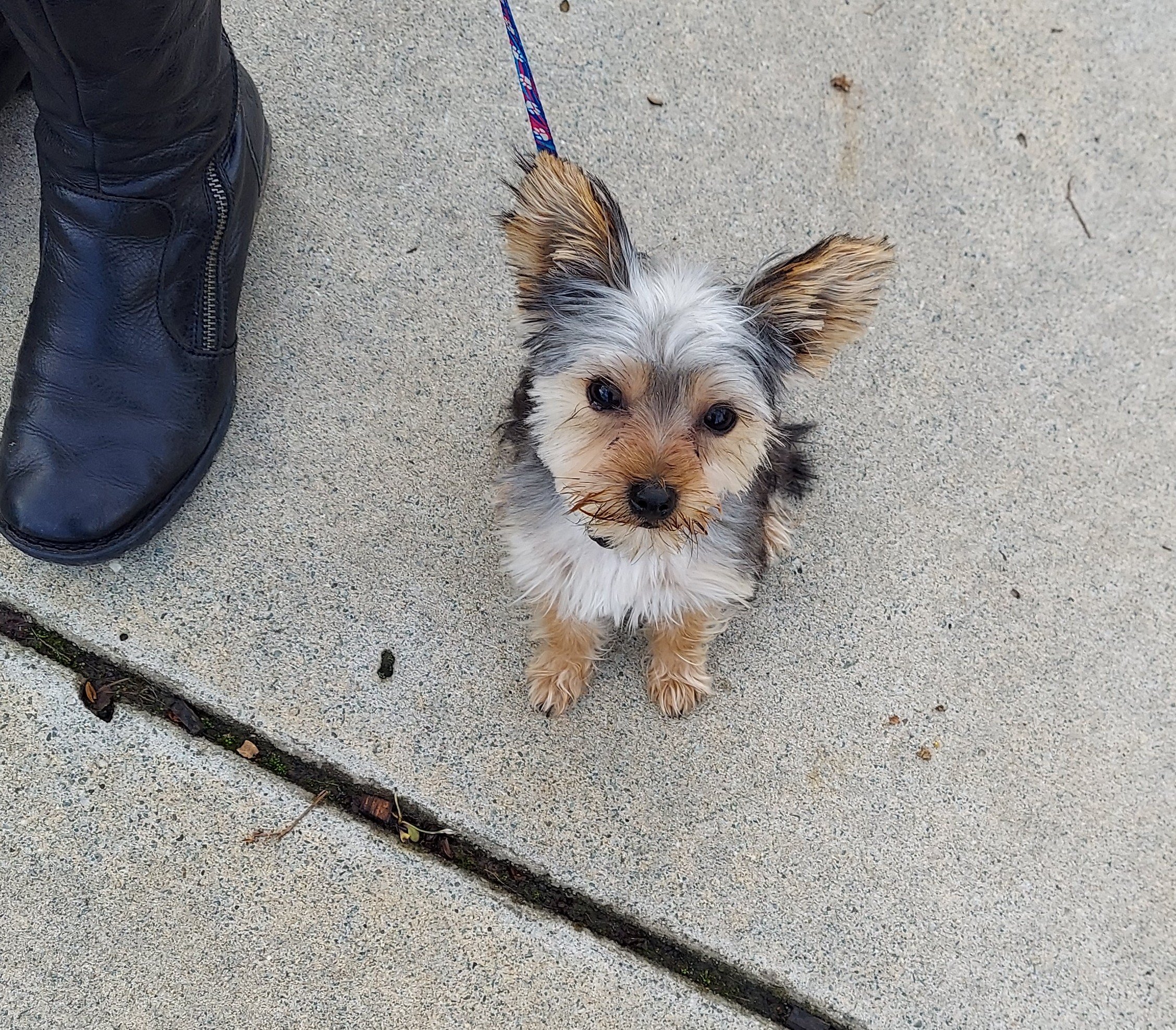 Charlie