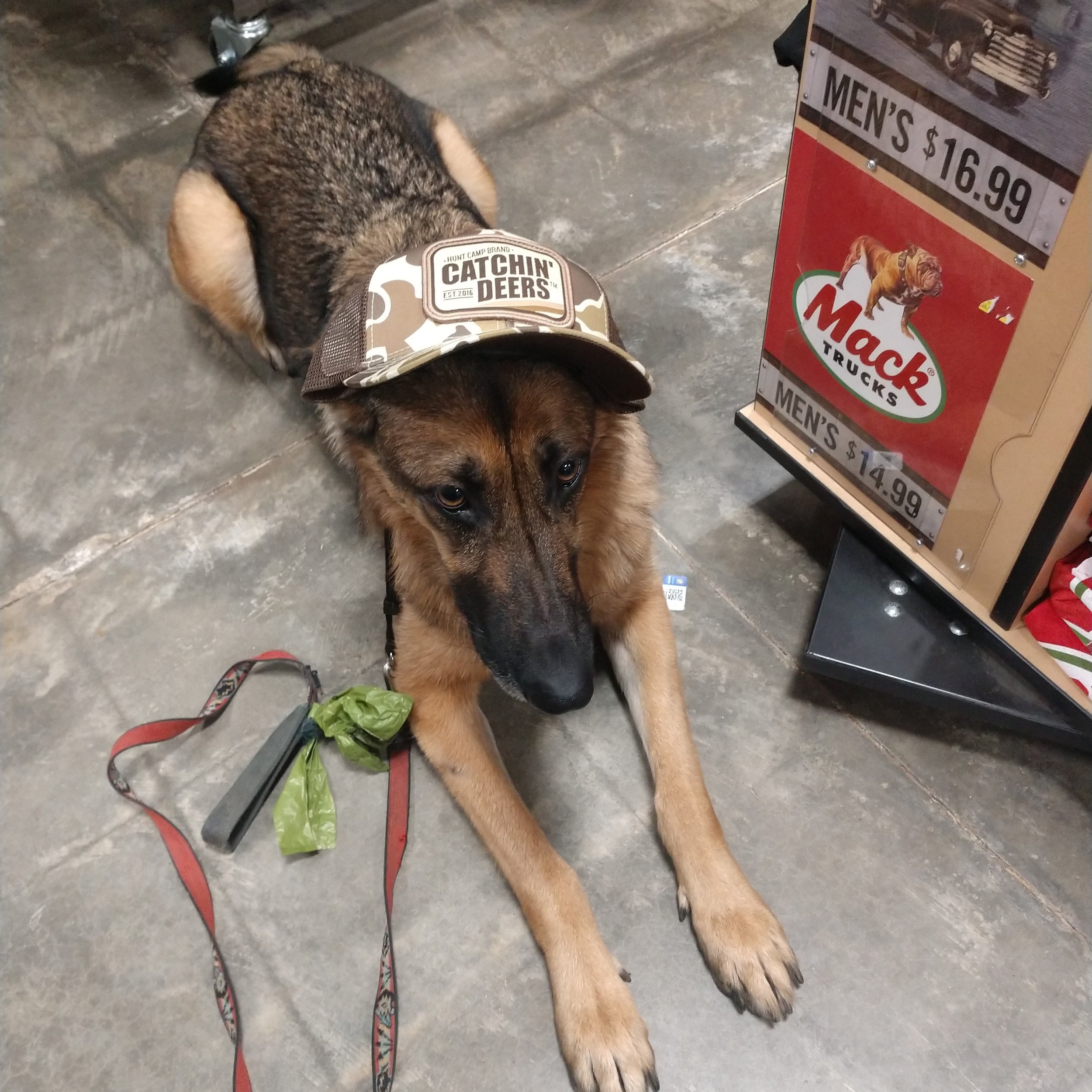 Koda 