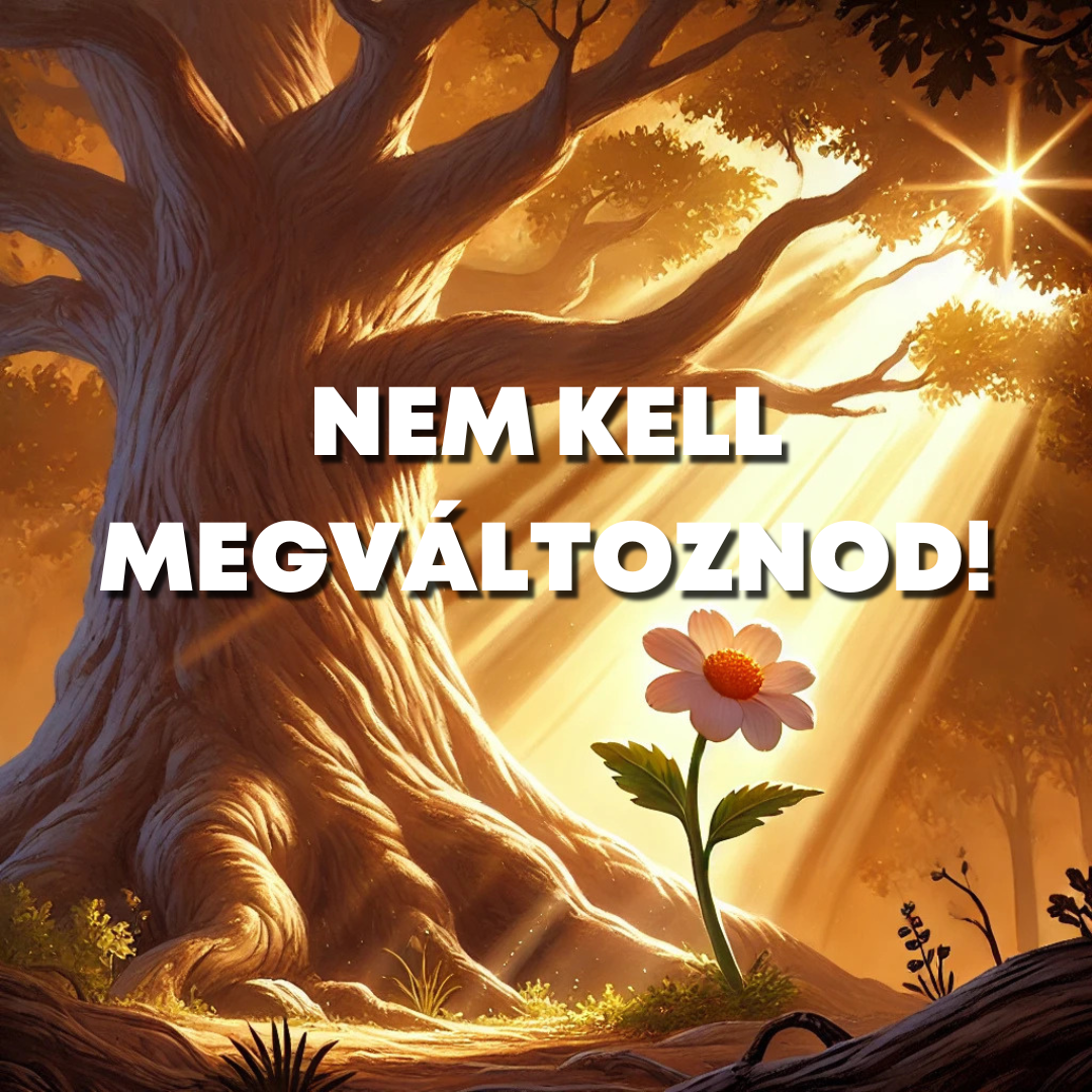 Nem kell megváltoznod!