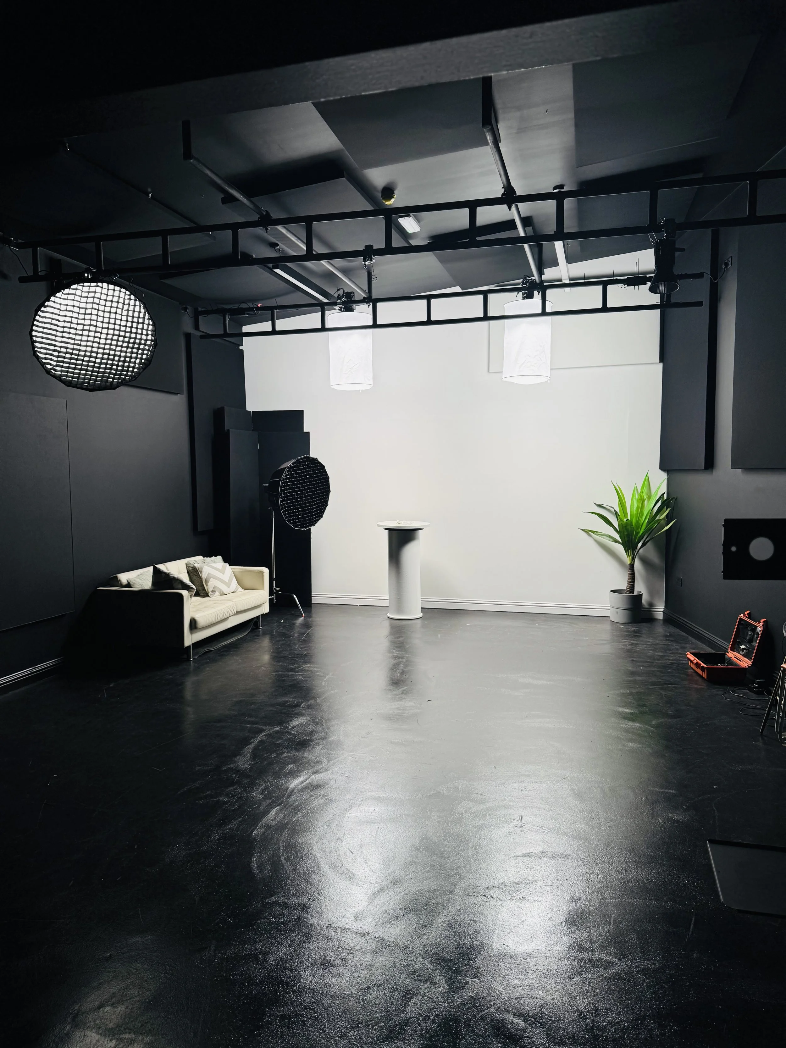 Empty photography studio with black floor and walls, white backdrop, studio lights, and a green potted plant on the right.