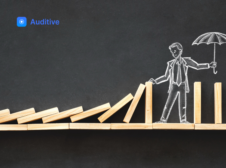 Steps in Managing Risk Management Systems