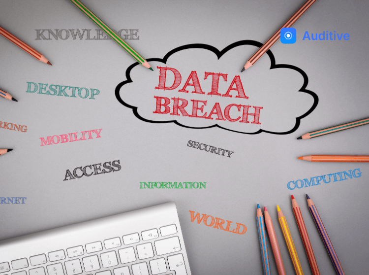 Steps Companies Should Take After a Data Breach
