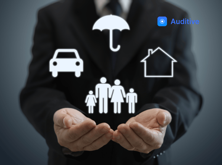 Insurance Enterprise Risk Management Framework Design — Auditive