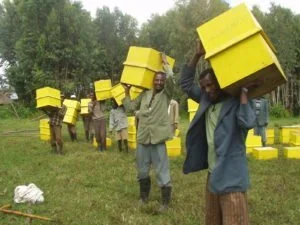 Strengthening Food Systems for Rural Families