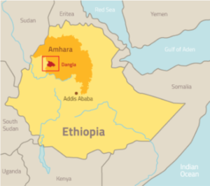 Where We Work: Dangla, Amhara Region