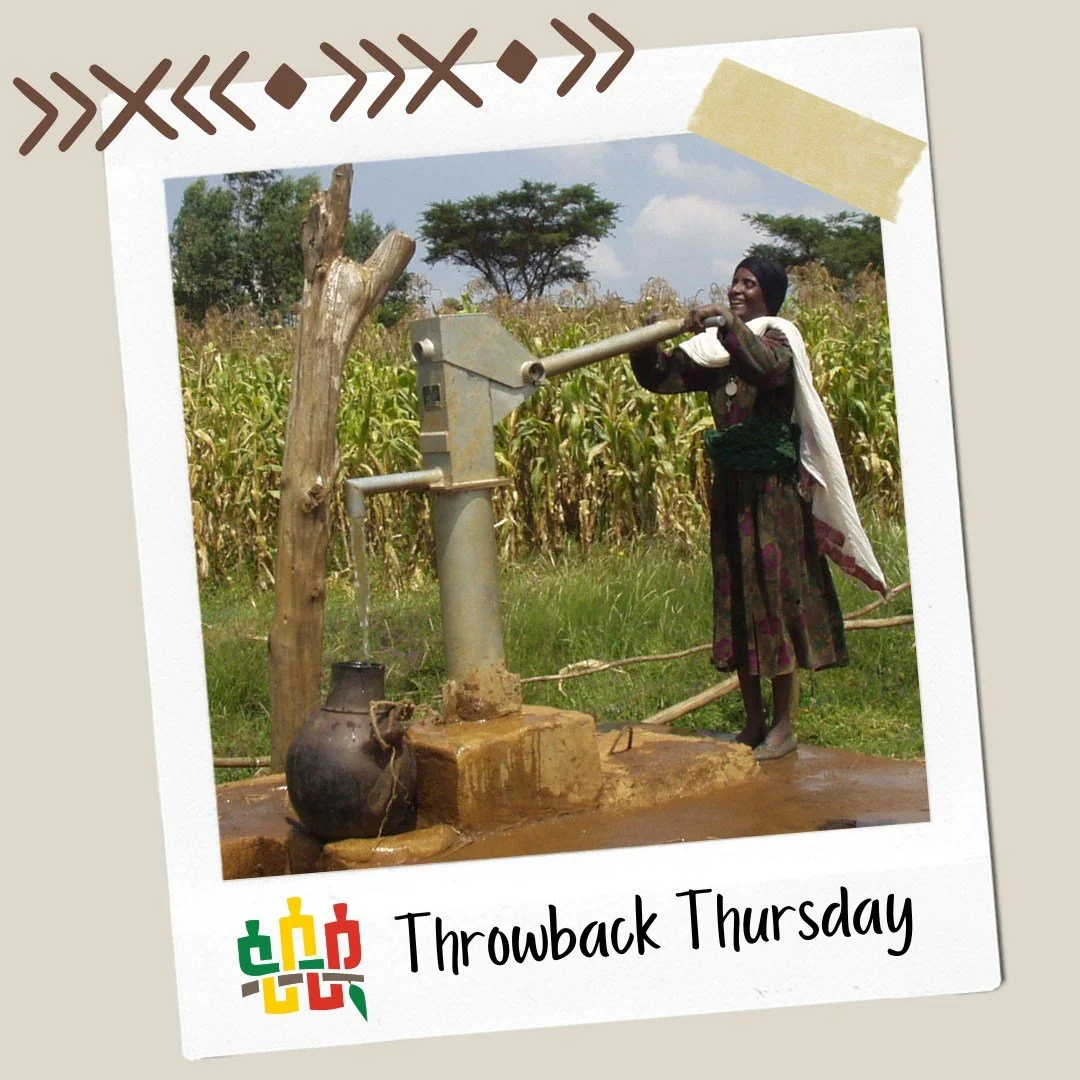 Around 2006 Project Ethiopia offered to dig wells for two villages in the Dangla area. The first village said yes, but the second declined, wondering if the offer might actually be an attempt to take land. So the second well was built for another vil