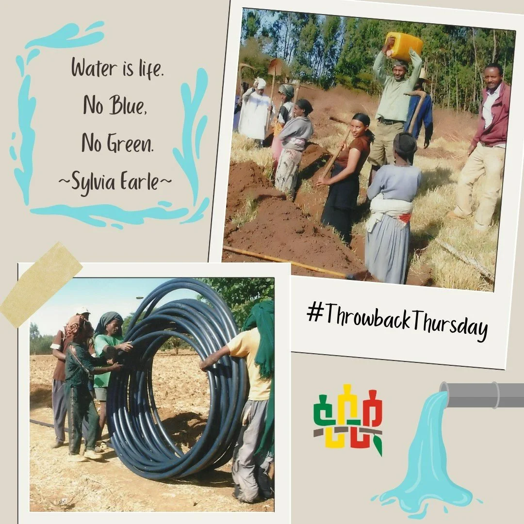 The town of Dangla offered to share its water back in 2013 with several schools and villages if Project Ethiopia would provide the hoses, connections and faucets. The community made it happen&hellip;together. Around 150 people came out to dig the tre