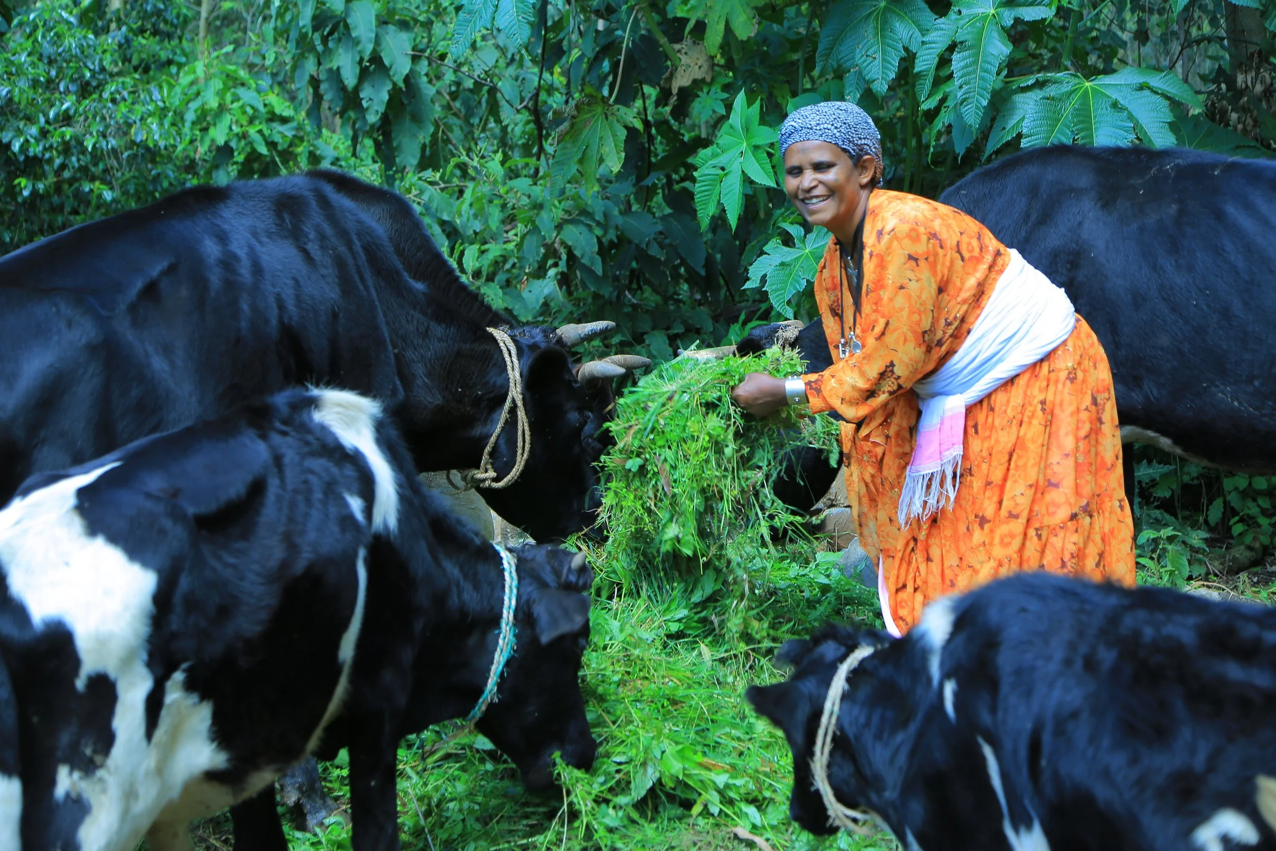 Bayush’s Story: Building a Life One Loan at a Time