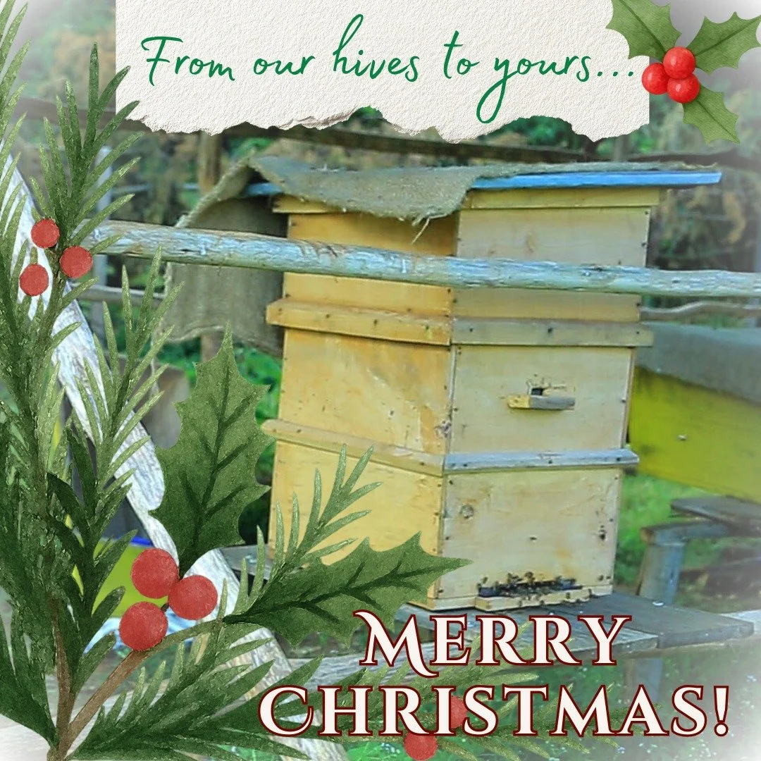 From all of us at Project Ethiopia, Merry Christmas! Thank you for walking alongside us this year and helping bring hope and opportunity to our new women beekeepers, their families, and so many others across the Dangla community. The honey harvest is