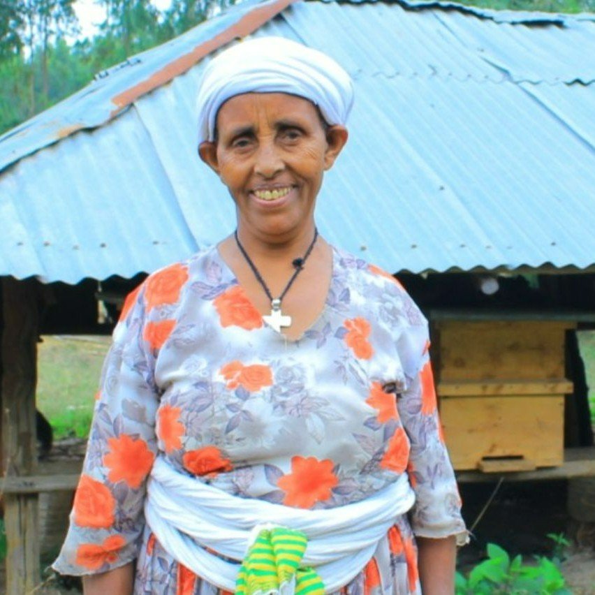 Beekeeping was not a new endeaver for Metenu when she joined Project Ethiopia's training program last year. She began tending bees as a teenager, using the traditional techniques she learned from her father. But 40 years later, Metenu was only produc