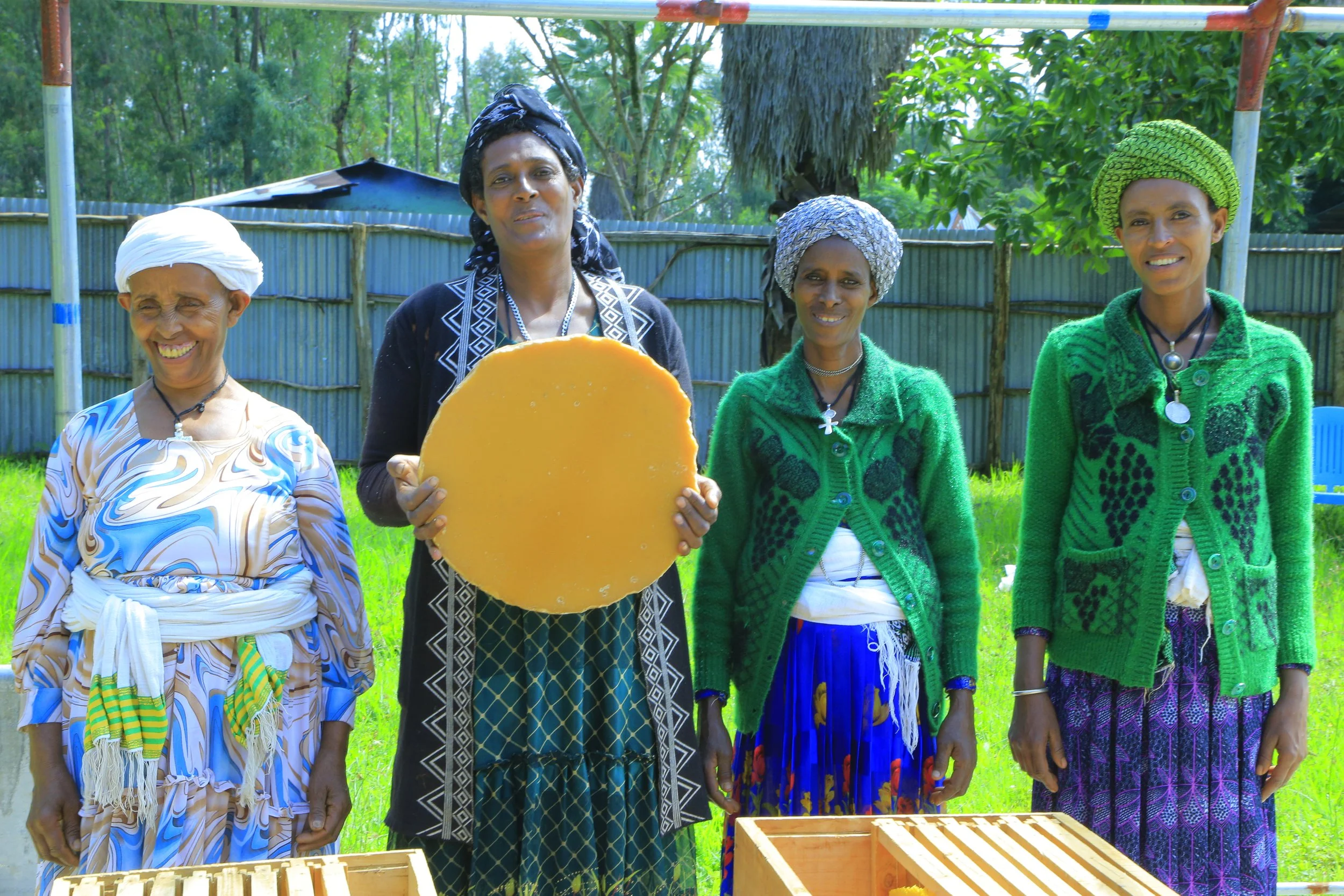 Mentors in the Making: Women Teaching Women