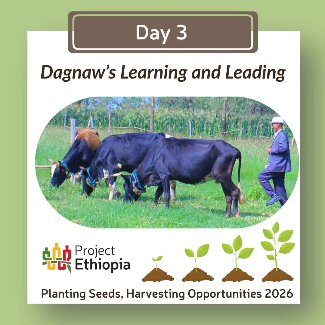 Through one of Project Ethiopia's Farmers' Associations, Dagnaw gained knowledge and support to grow his dairy operation, improve his family's livelihood, and become one of Dangla's model farmers. Today, the impact of his success reaches far beyond h