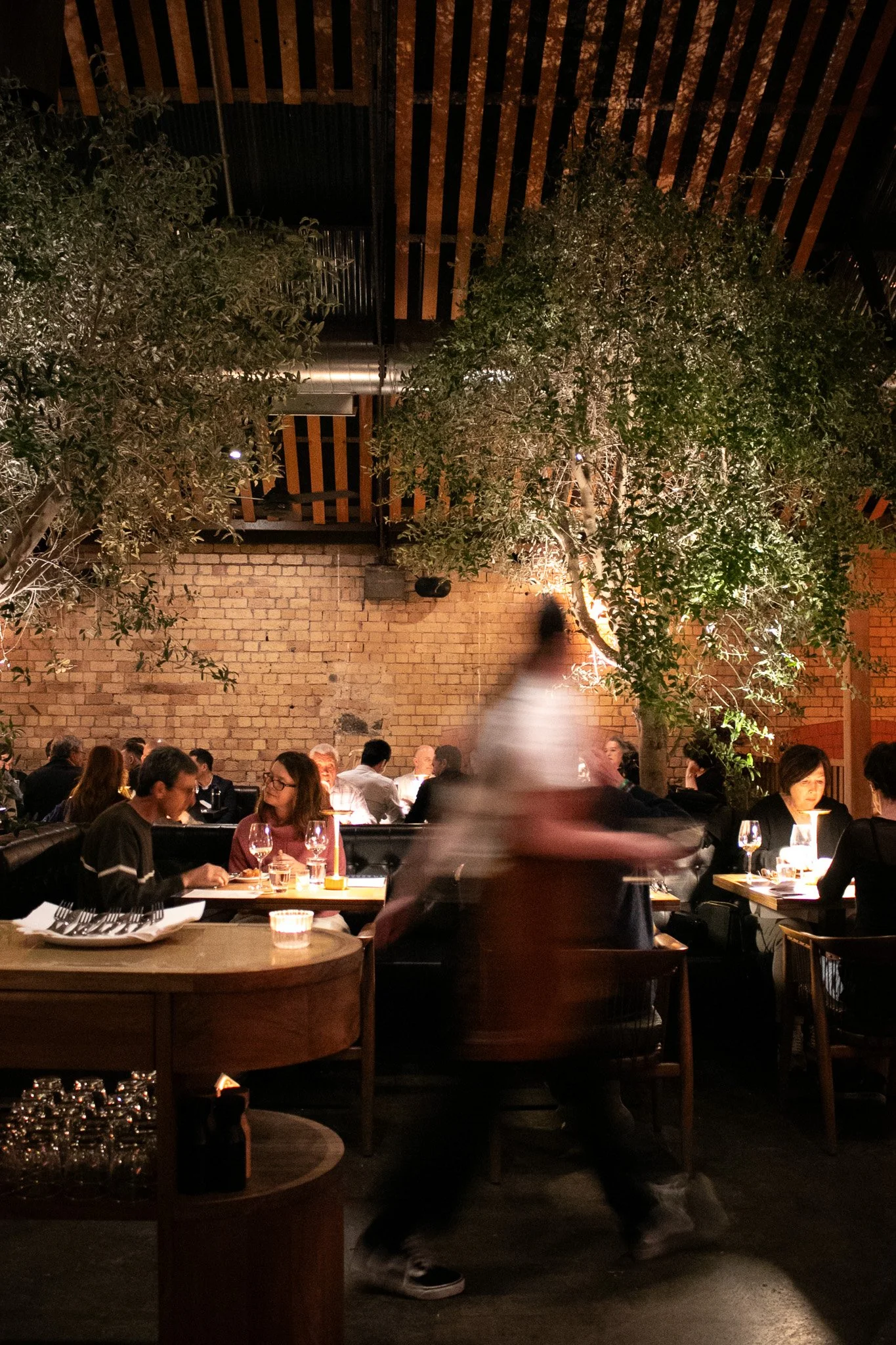 Guests enjoying seated dining beneath the olive trees at La Zeppa.