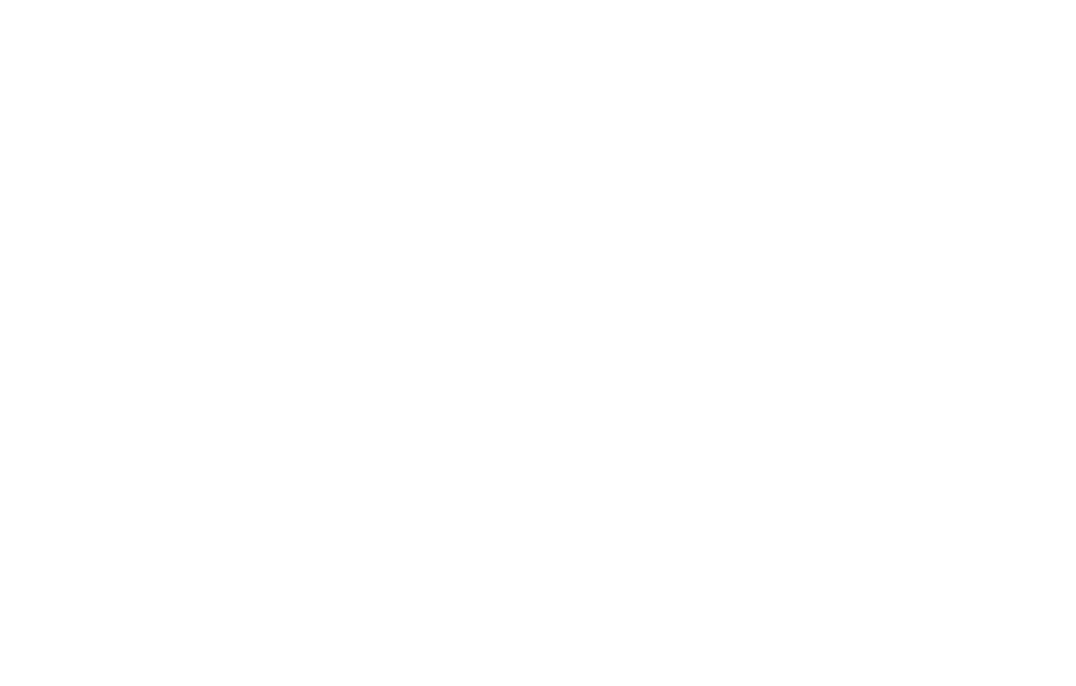 NiteVolt