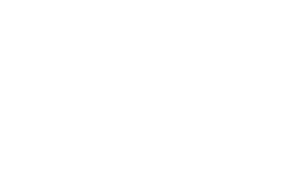 BLINKYFVCE