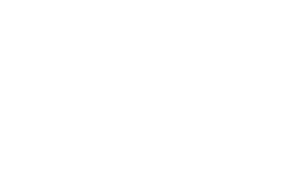 GeminiDanger