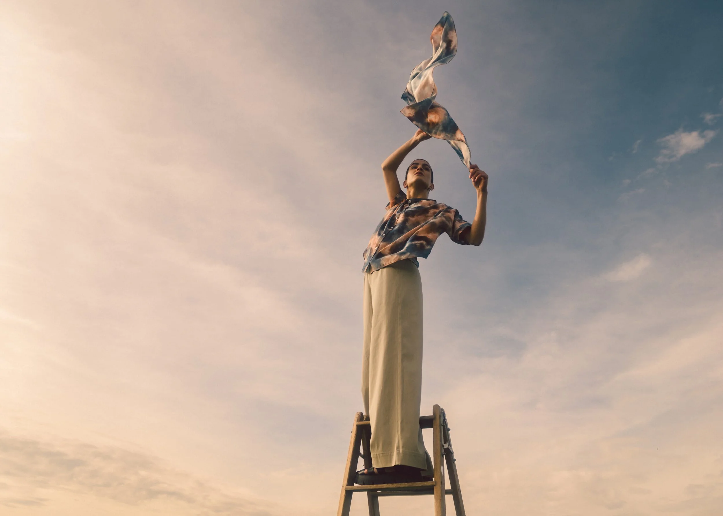 Wolkenpieper fink und star