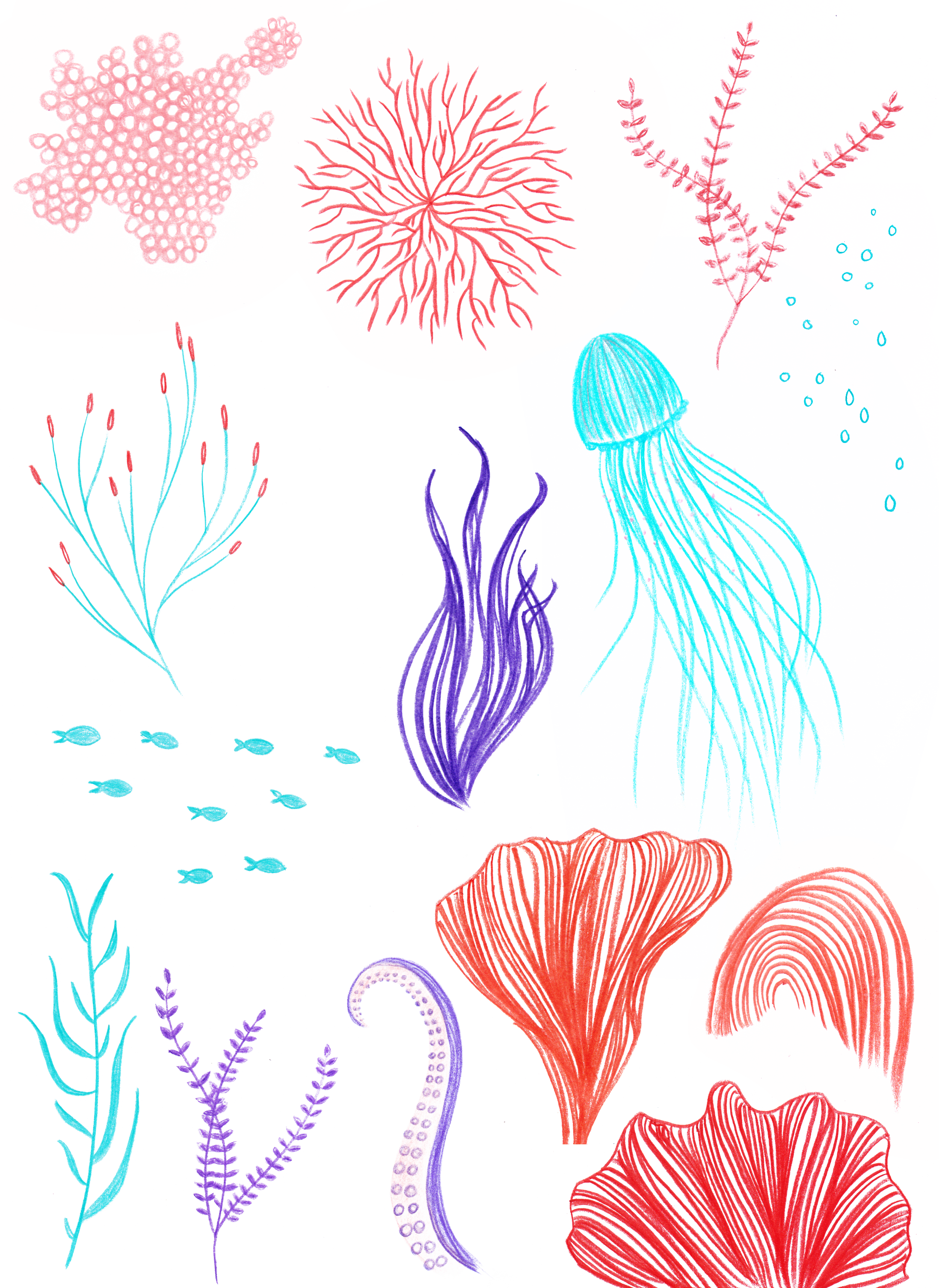 Motive_Ocean_2.png