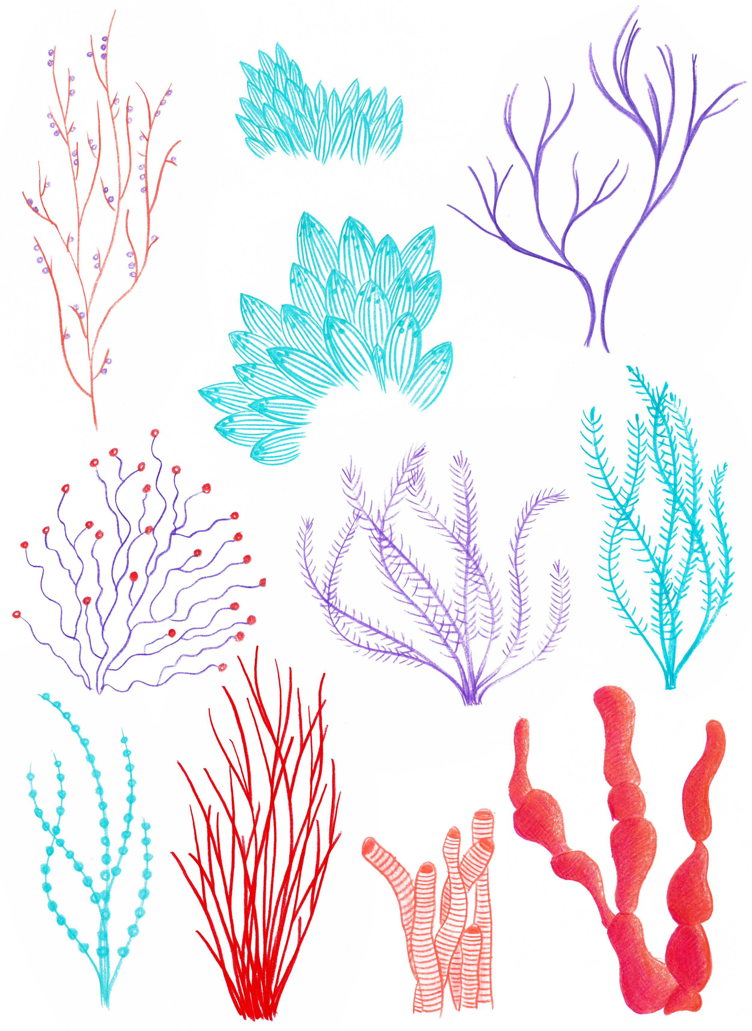 Handgezeichnete Farbstiftillustrationen