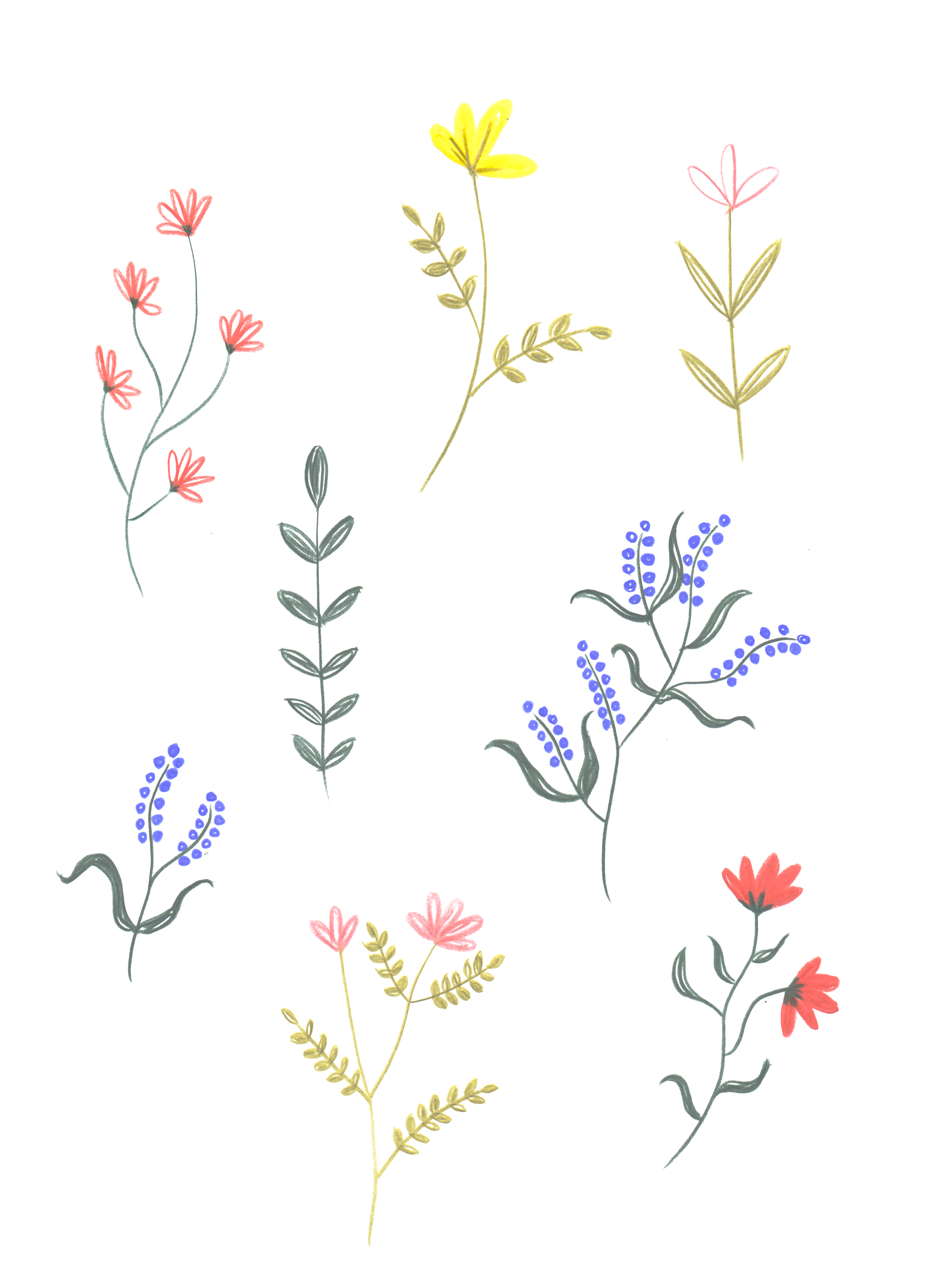Handgezeichnete Farbstiftillustrationen