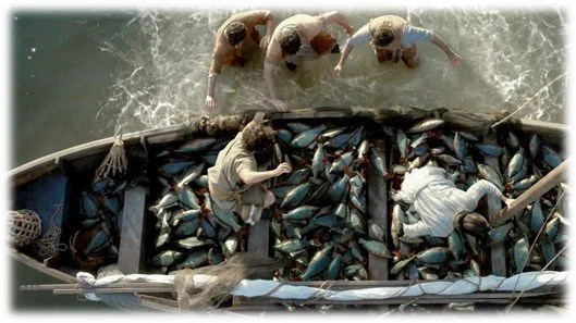 Not About Fish!