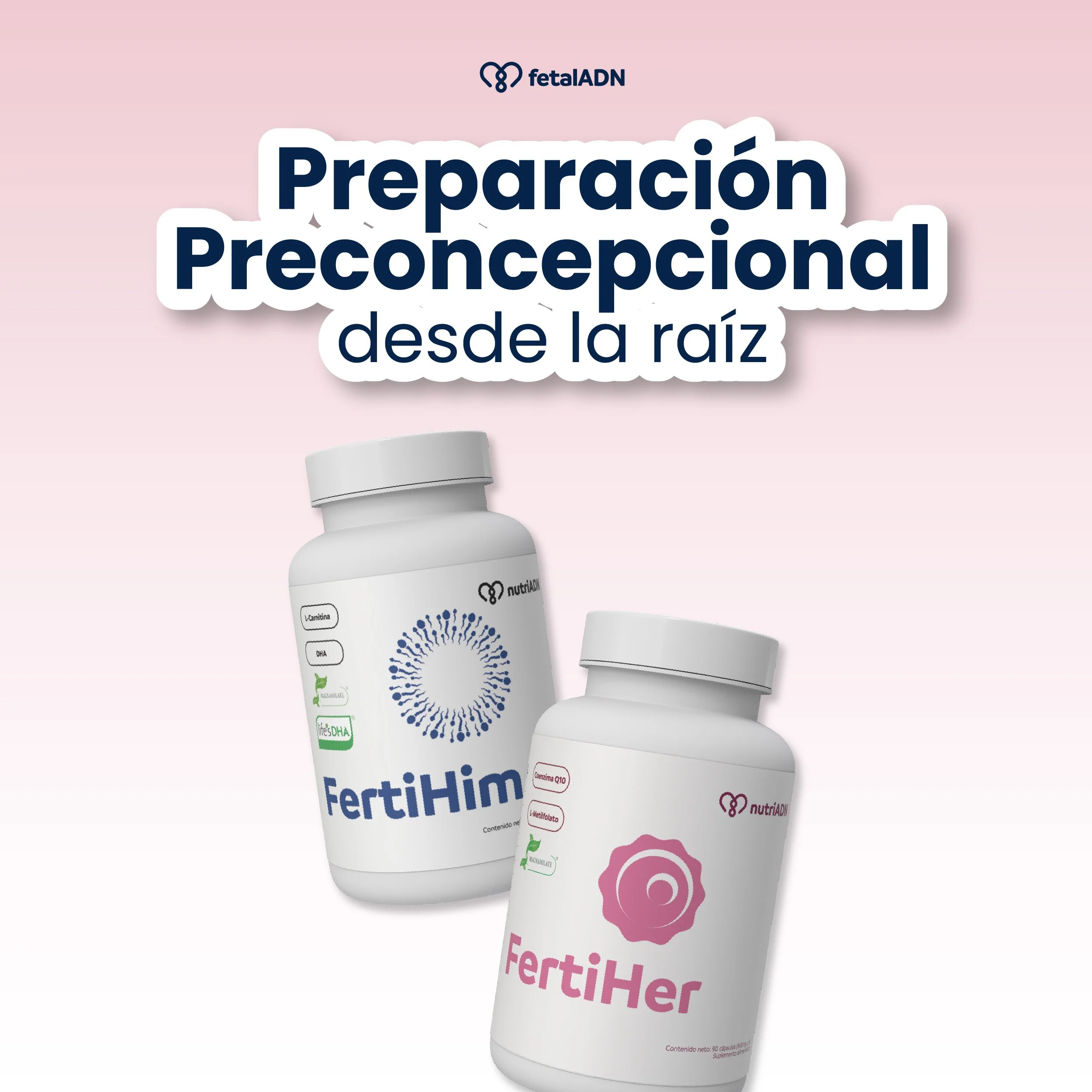 La Guía Definitiva de la Preparación Preconcepcional: Nutriendo tu fertilidad desde la raíz.