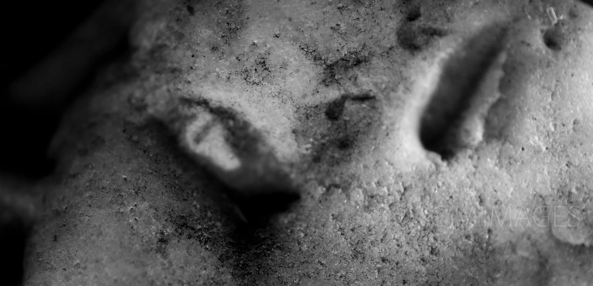 STONE- STONE FACE CROPPED BW #1641