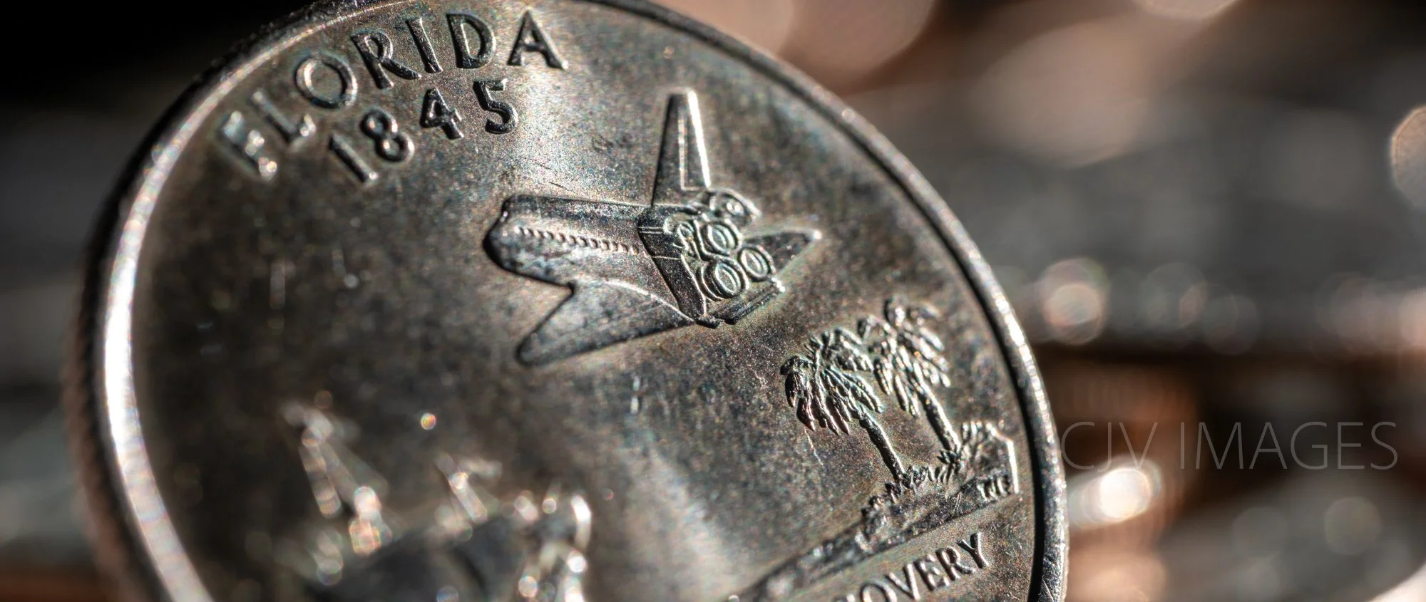 CURRENCY- STATE QUARTER FLORIDA CROPPED #0673