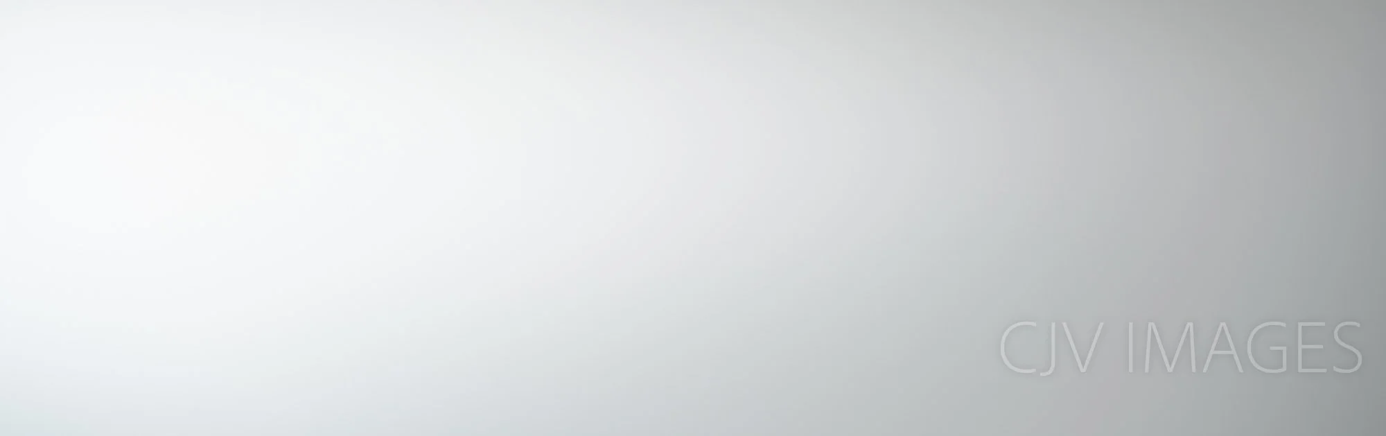 FILLER- WHITE WITH RIGHT SIDE GRAY 0908 #8 TIGHTER.jpg