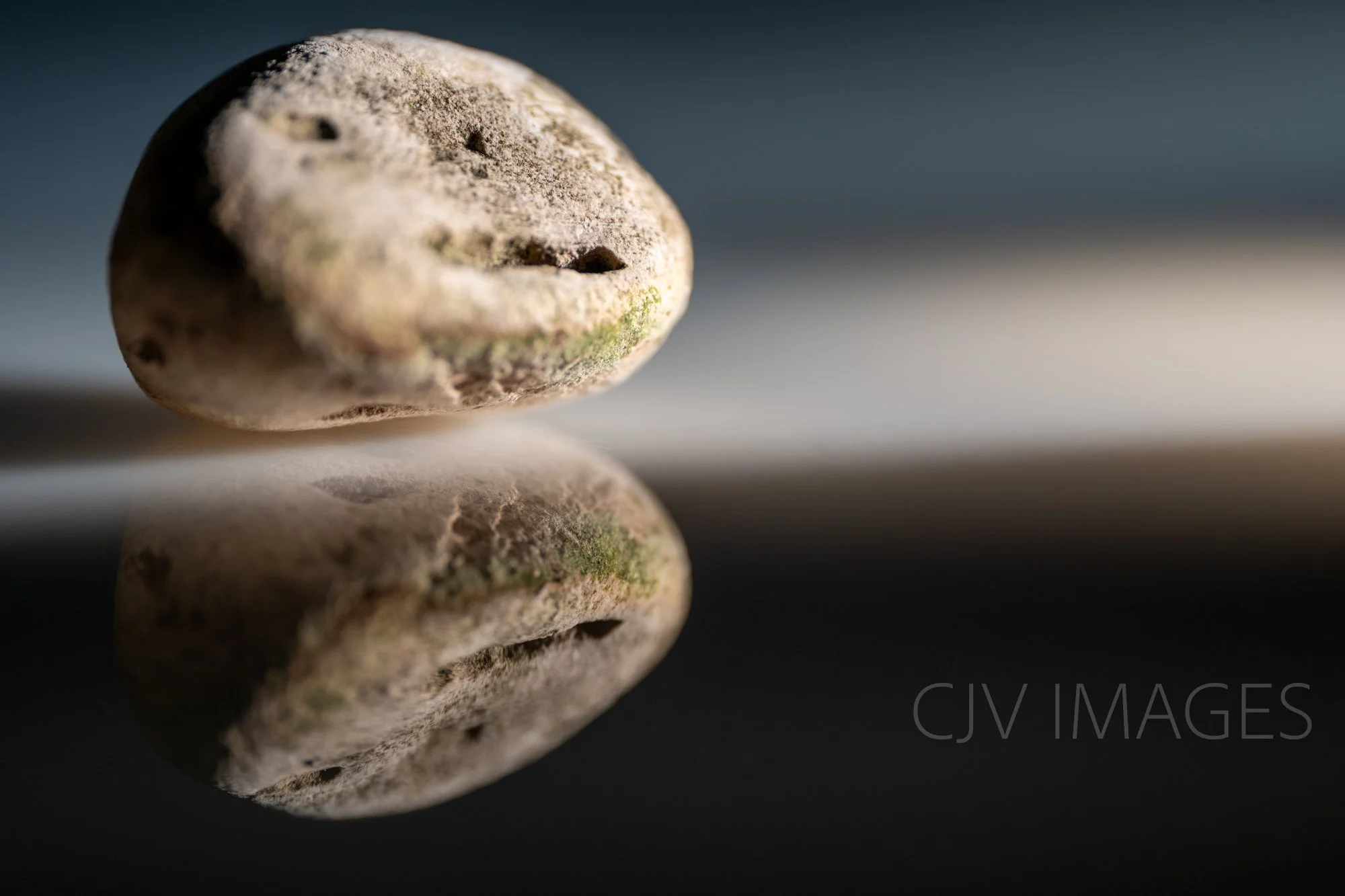 STONE- STONE FACE #1768