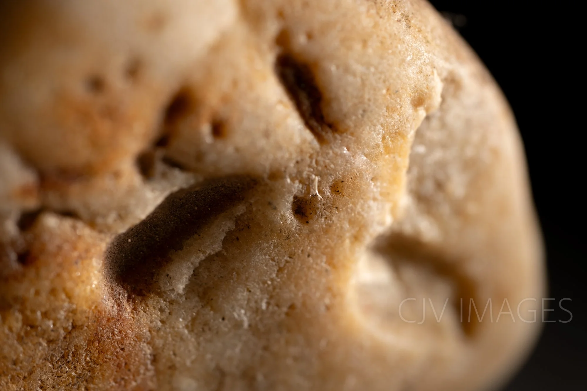 STONE- STONE FACE #1613