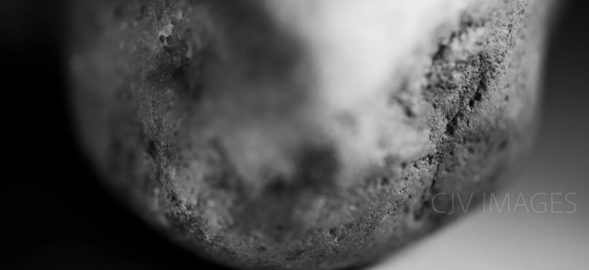 STONE- STONE FACE CROPPED BW #1611