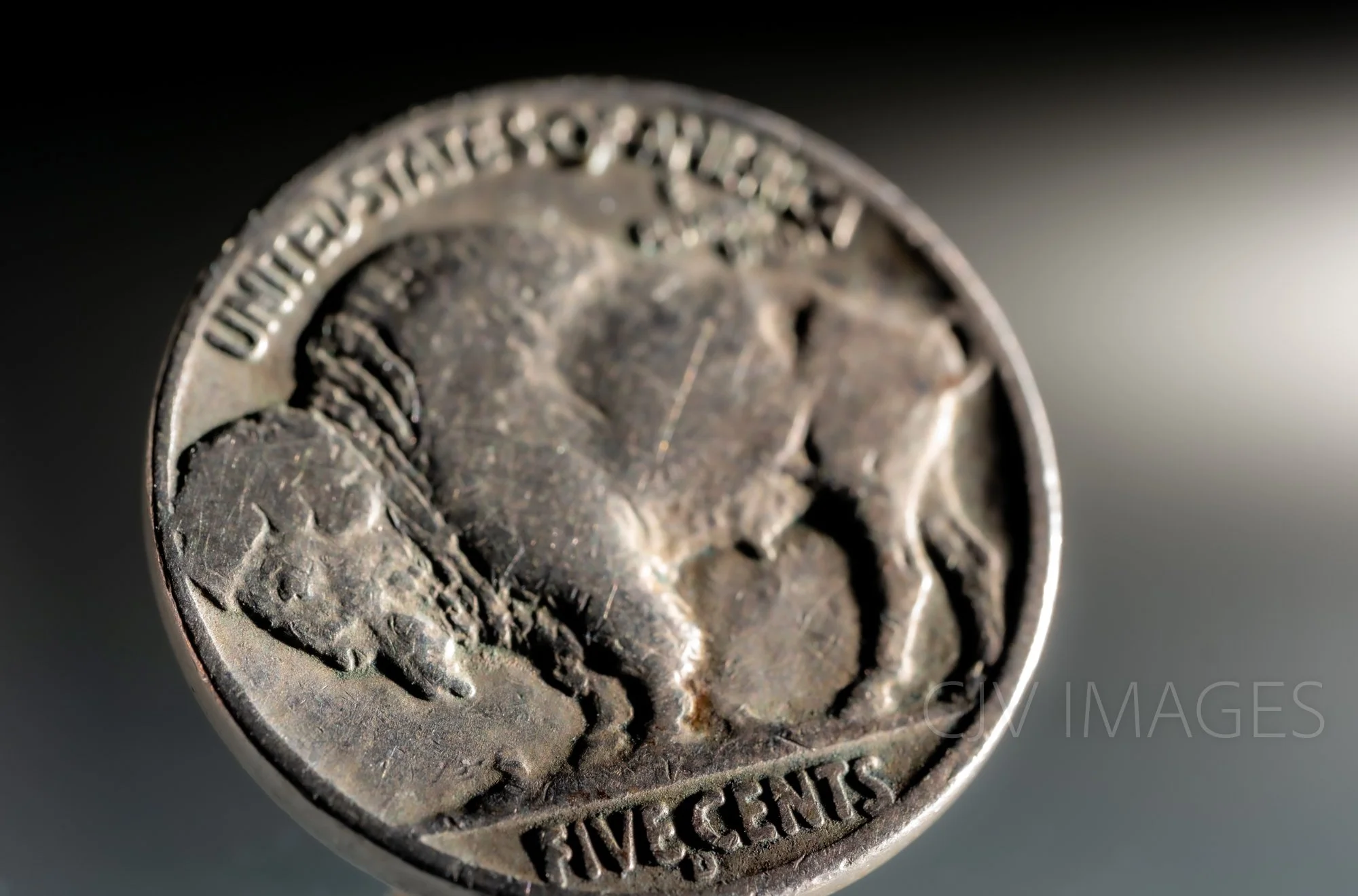 CURRENCY- BUFFALO NICKELS #1901