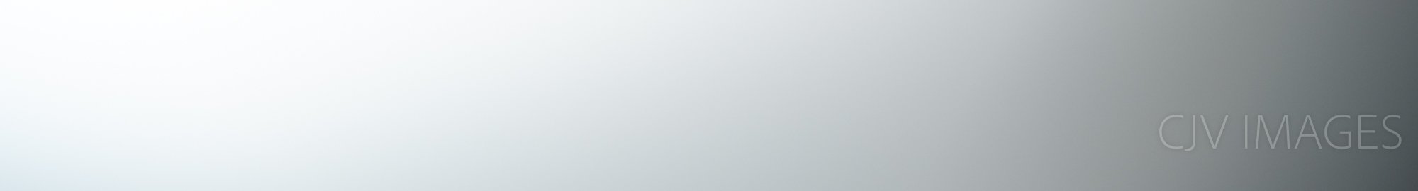 FILLER- WHITE WITH GRAY RIGHT 0908 #3.jpg