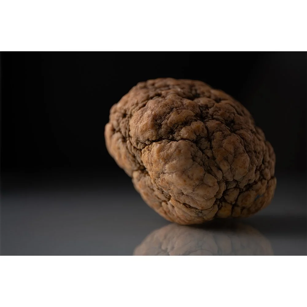 STONES BEAUTY Gallery- Warsaw Brain #0089