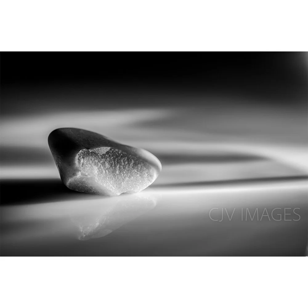 STONES- BEECH RIDGE BW #1502-Web.jpg