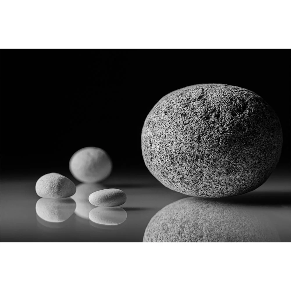 STONES BEAUTY Gallery- Whitefish #4912 Black and White