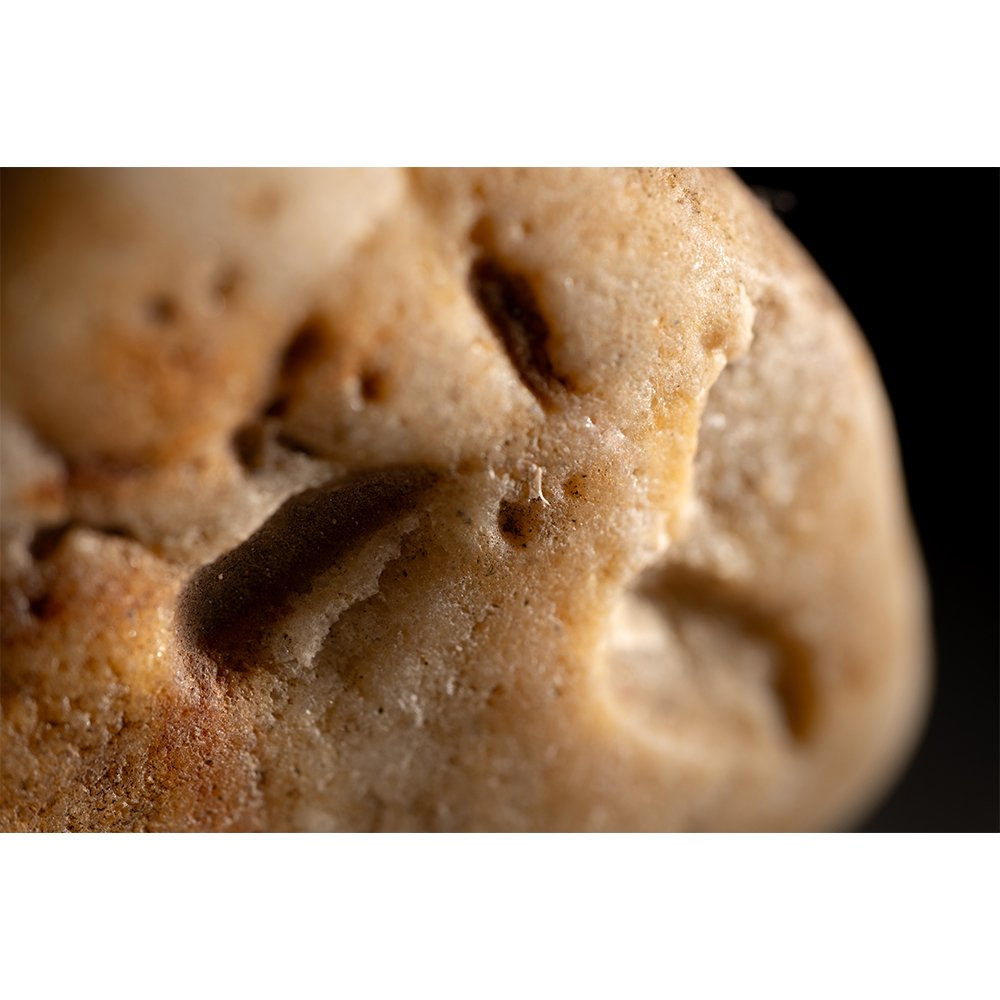 STONE- STONE FACE #1613-Web.jpg