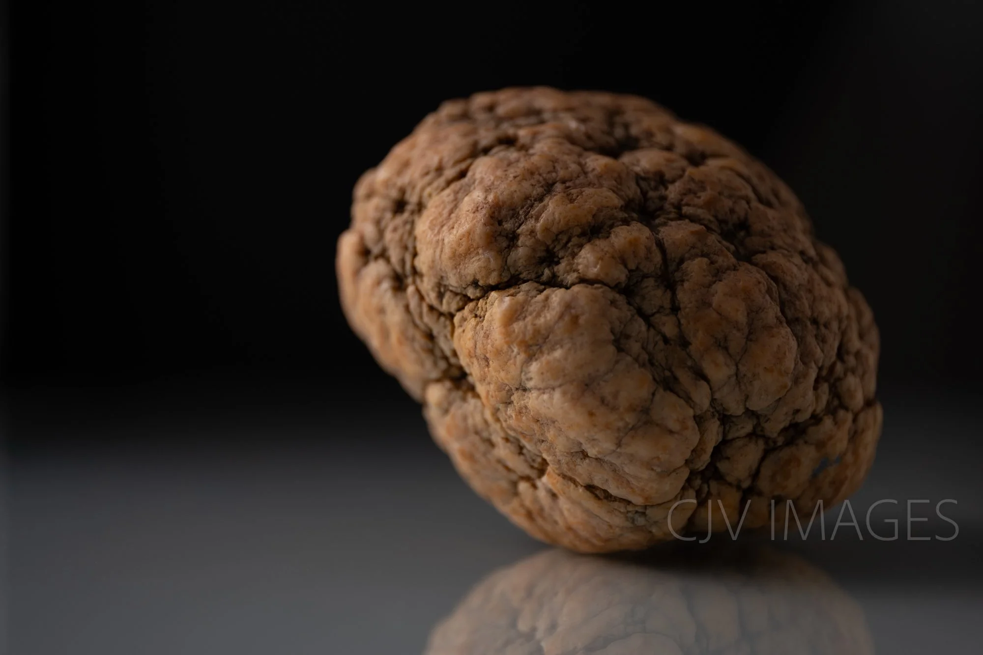 STONES- WARSAW BRAIN 1 #0089