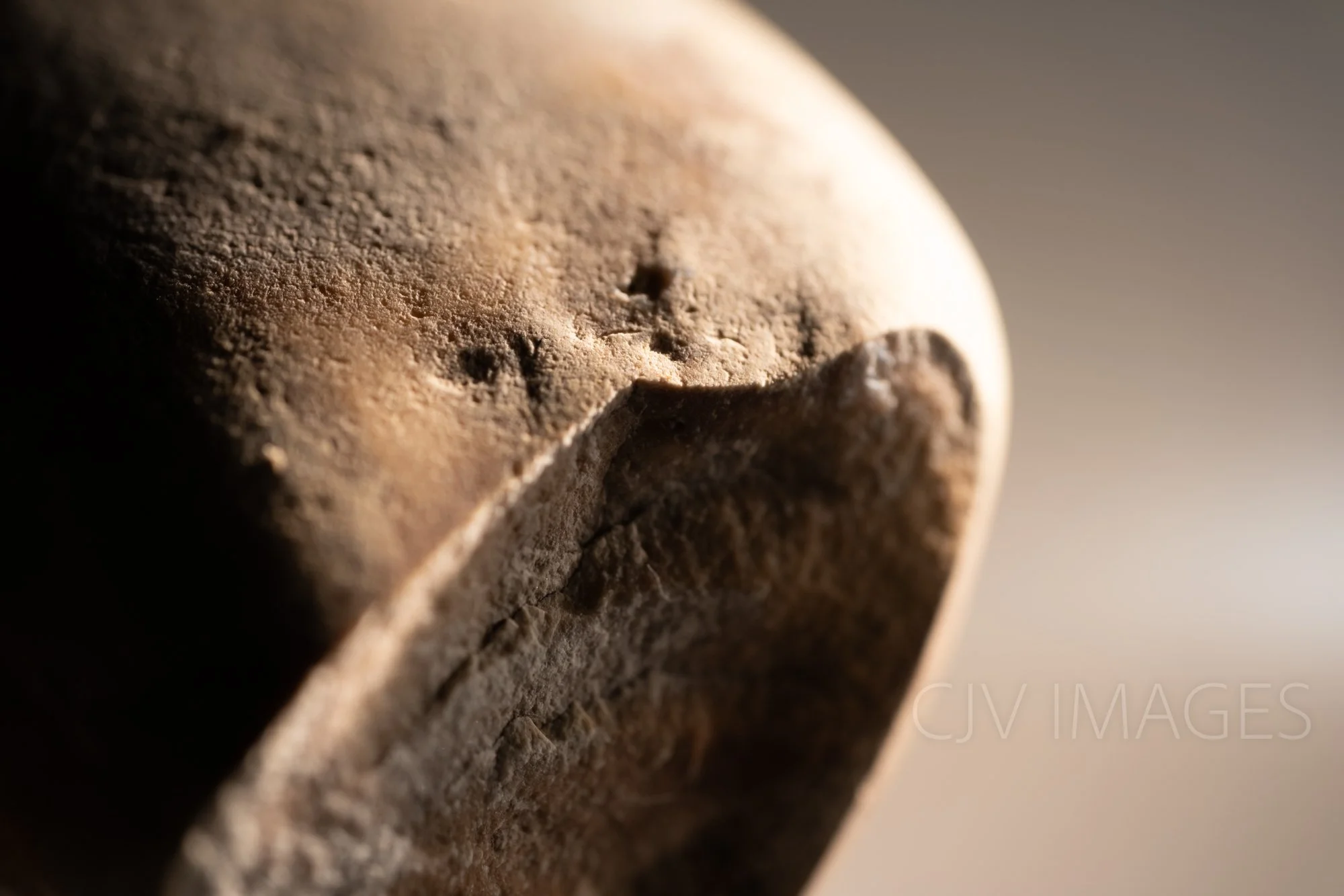 STONE- STONE FACE #1538