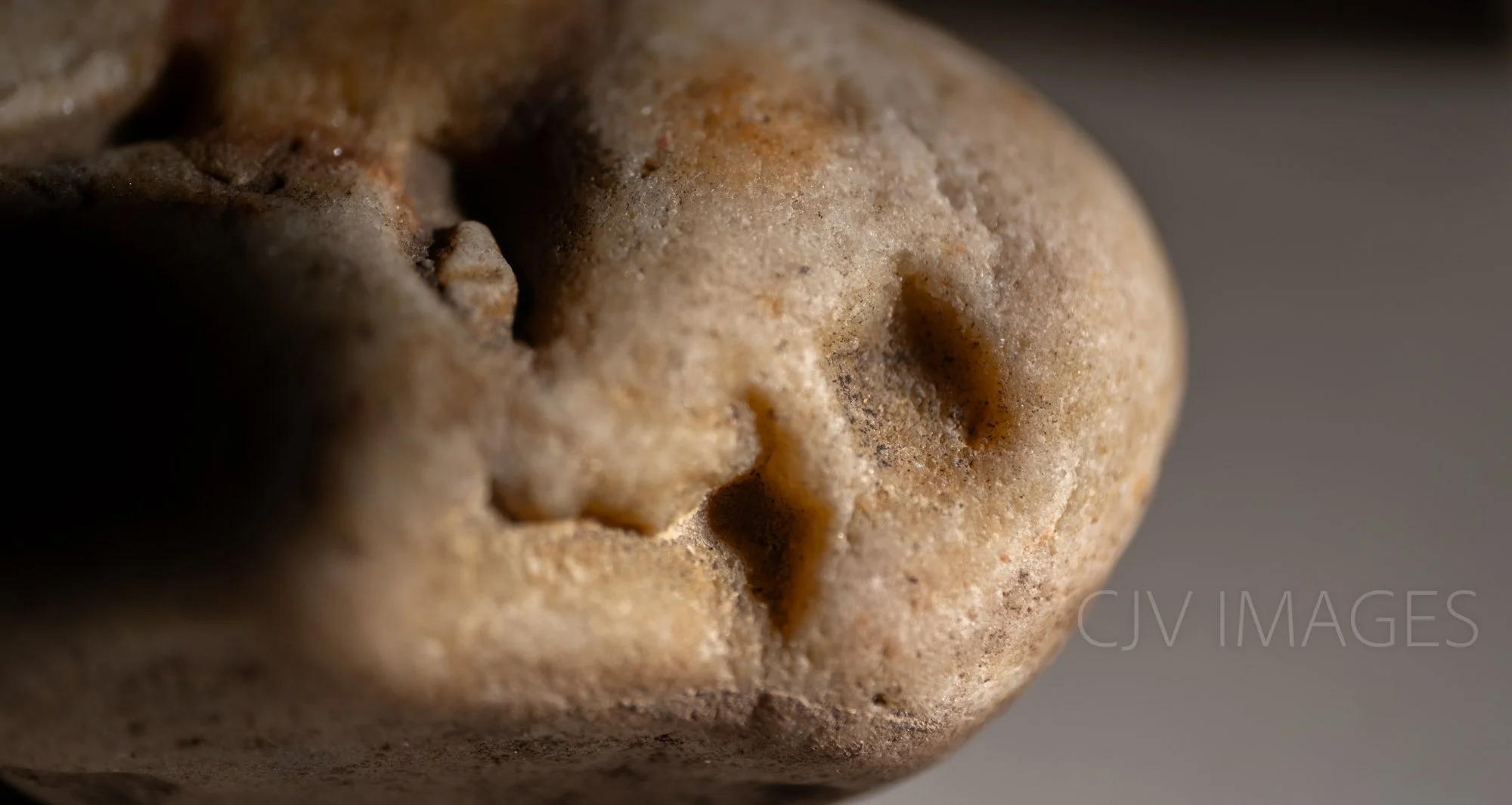 STONE- STONE FACE ##1637