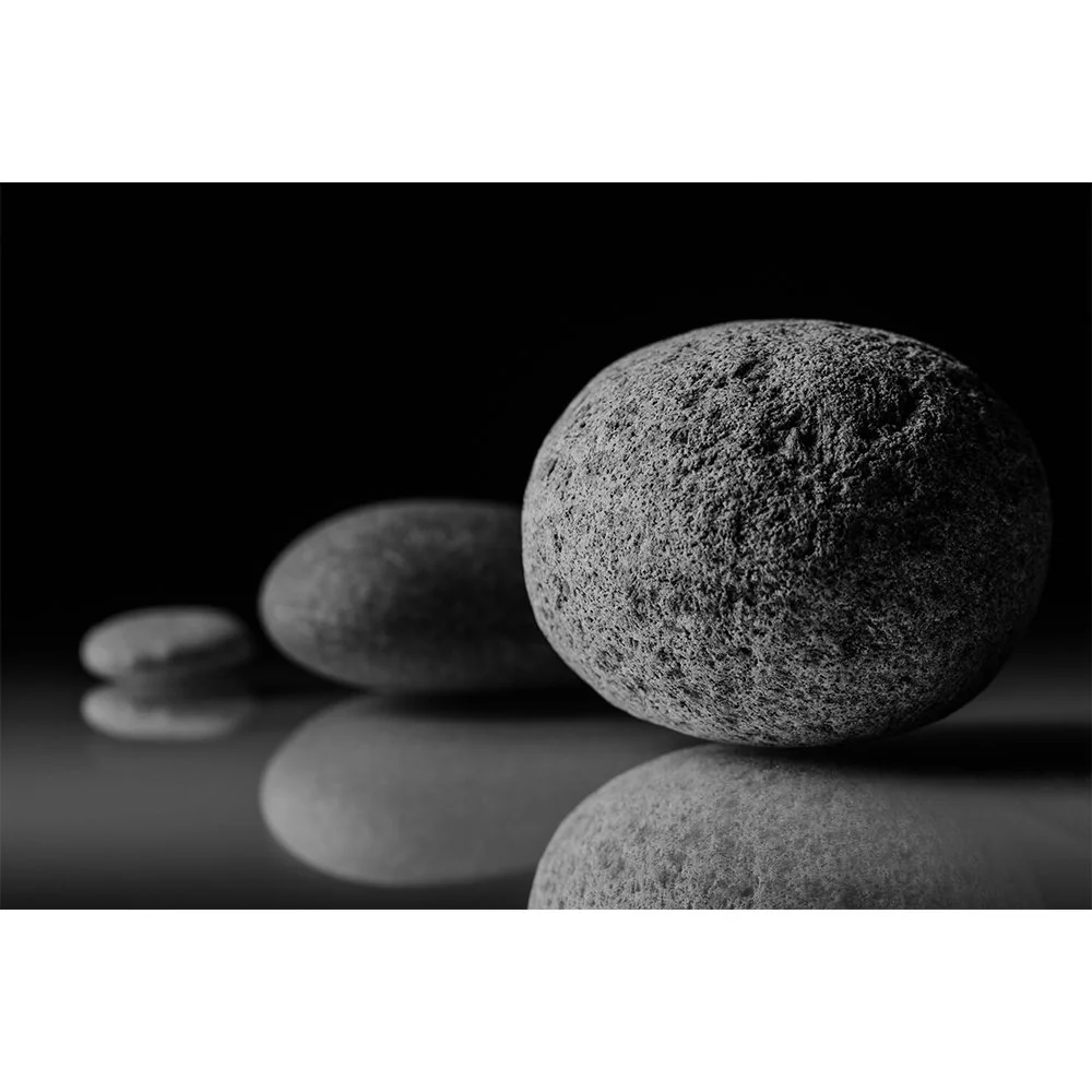 STONES BEAUTY Gallery- Whitefish #4908 Black and White