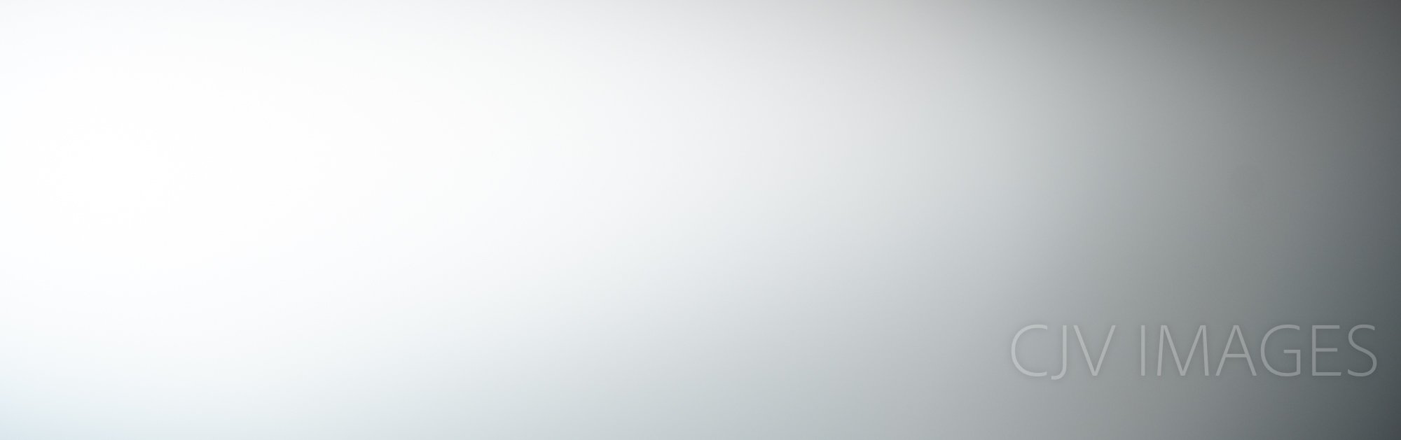 FILLER- WHITE WITH GRAY RIGHT 0908 #1.jpg
