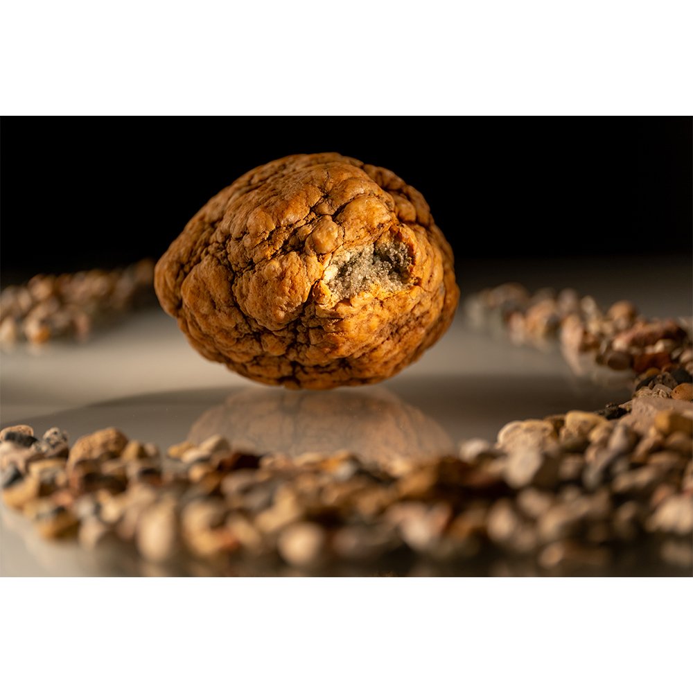 STONES BEAUTY- Warsaw Brain #0181