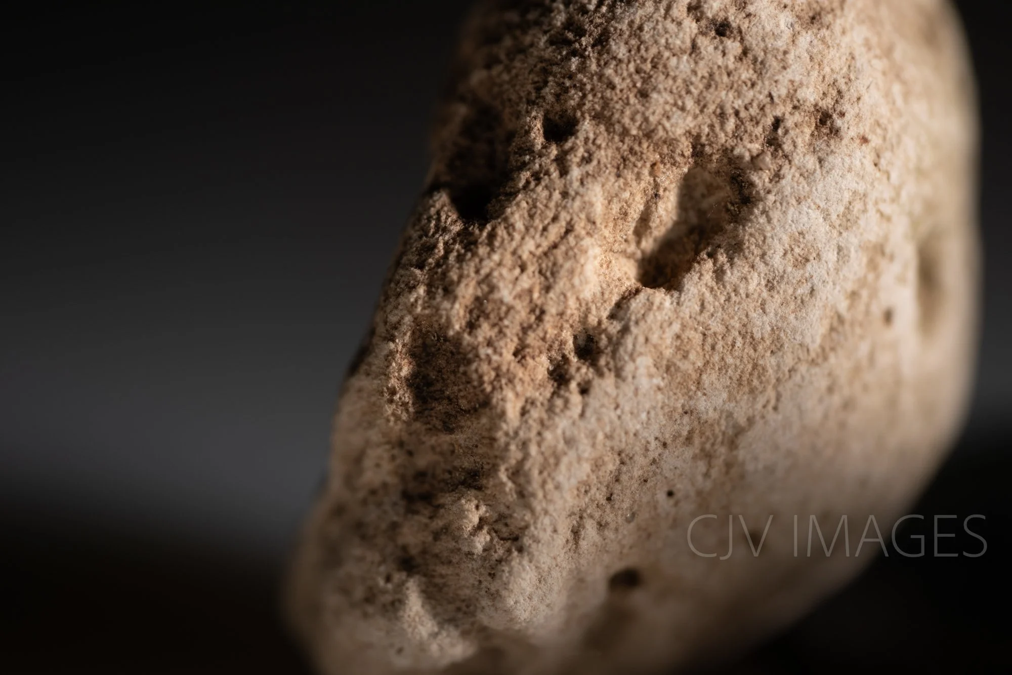 STONE- STONE FACE #1656