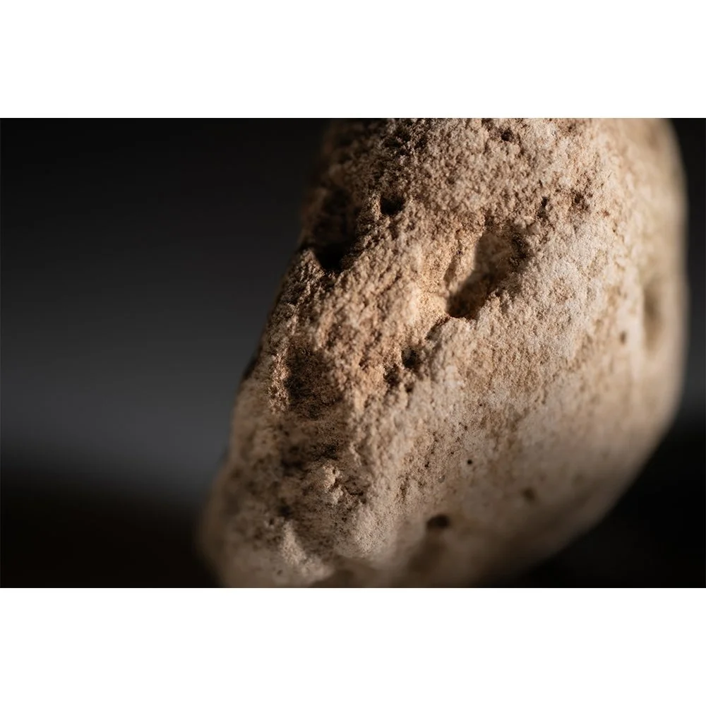 STONE- STONE FACE #1656-Web.jpg