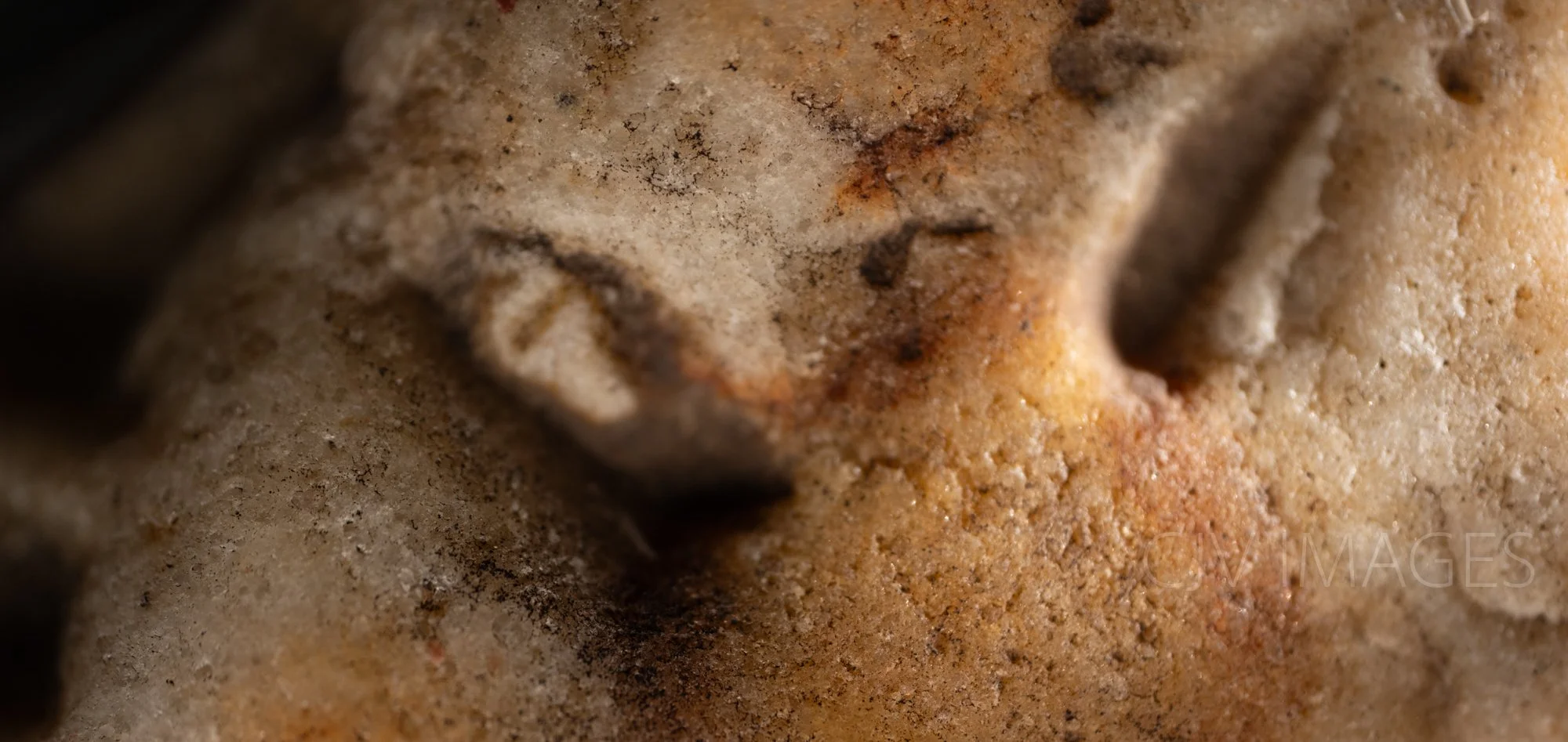 STONE- STONE FACE CROPPED #1641